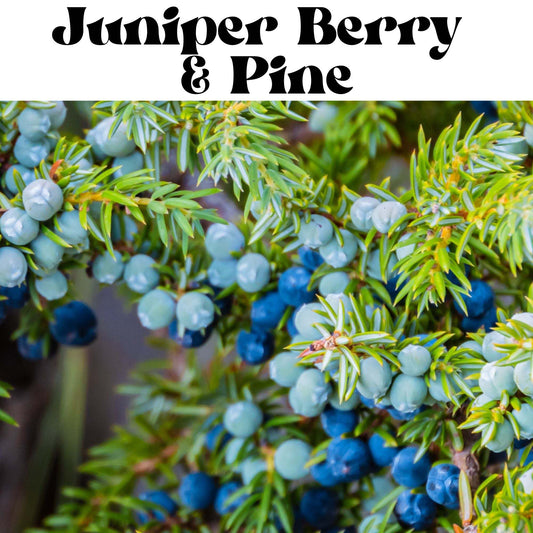 Juniper Berry  & Pine