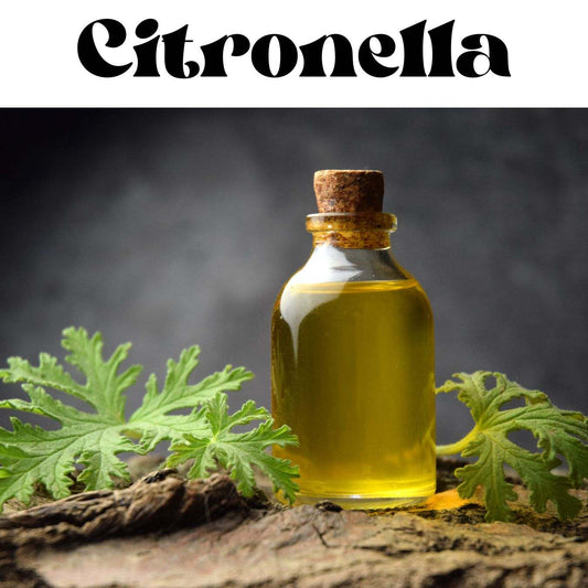 Citronella