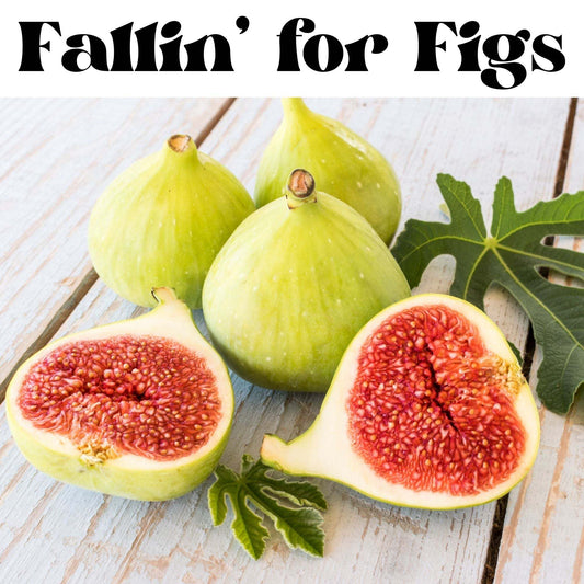 Fallin' for Figs