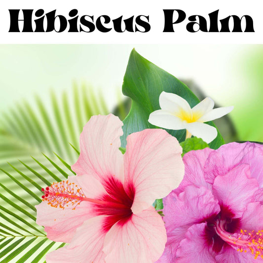 Hibiscus Palm