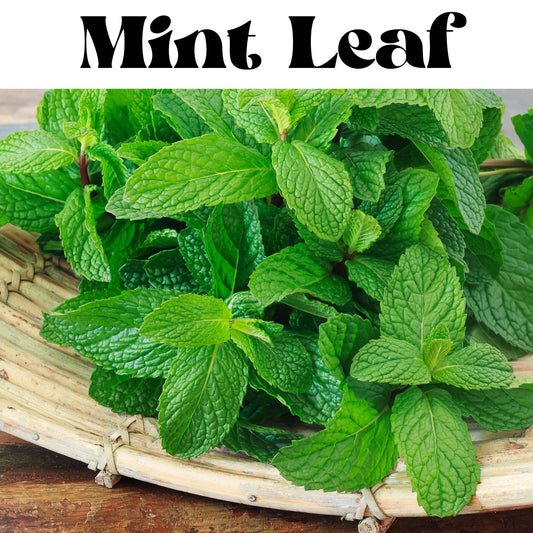 Mint Leaf