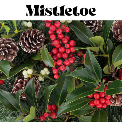 Mistletoe