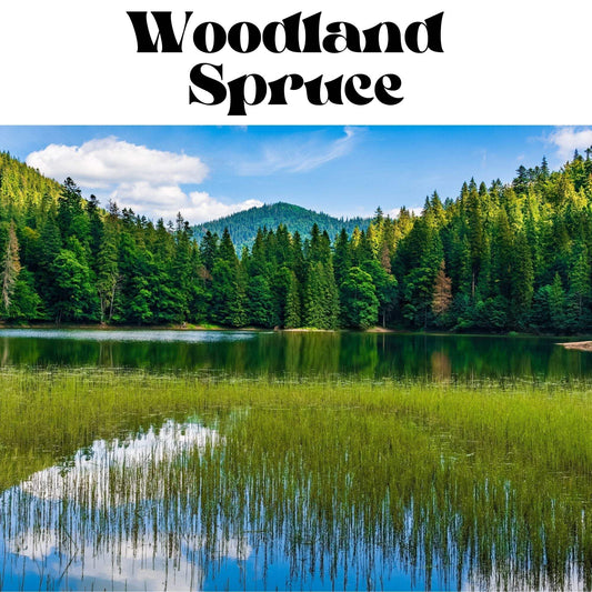 Woodland Spruce