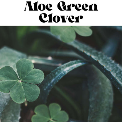 Aloe Green Clover