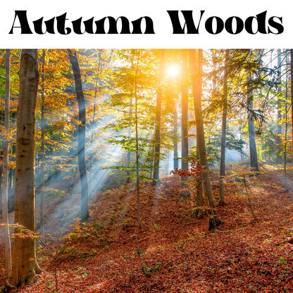 Autumn Woods