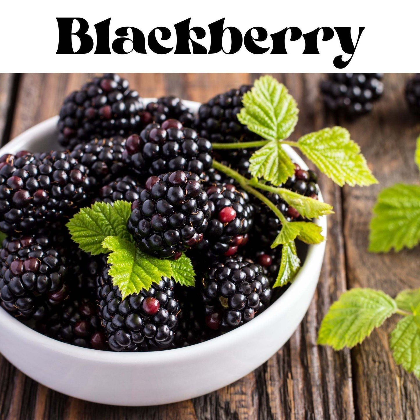 Blackberry