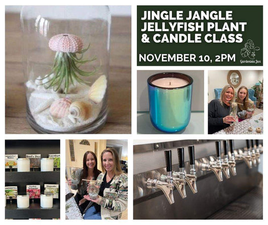 Custom Candle and Jingle Jangle Jellyfish Plant Class - November 10, 2024 at 2pm