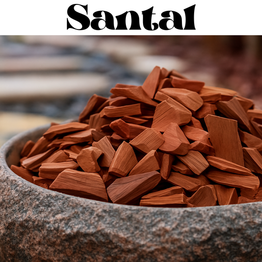 A close-up of a stone bowl filled with shredded reddish-brown wood pieces, with the word 'Santal' in large black text across the top.