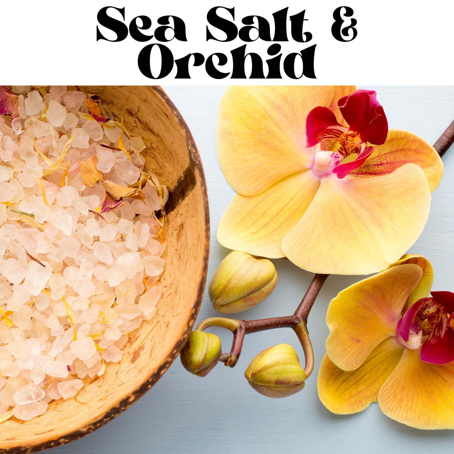Sea Salt & Orchid Fragrance Oil - 2oz