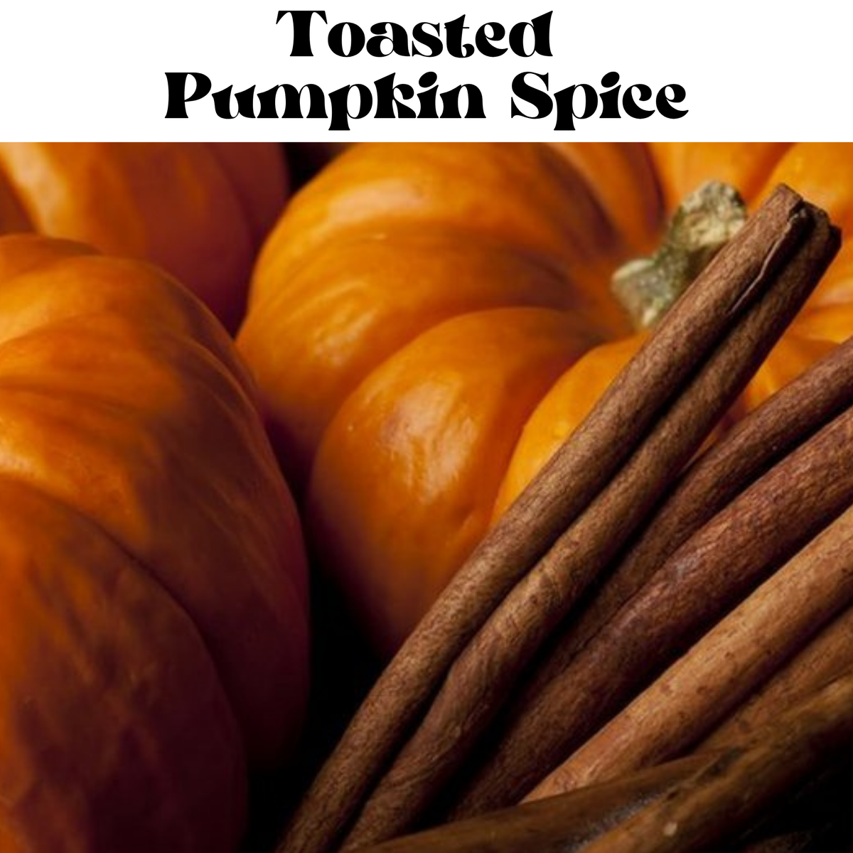 Toasted Pumpkin Spice Fragrance Oil Car Diffuser