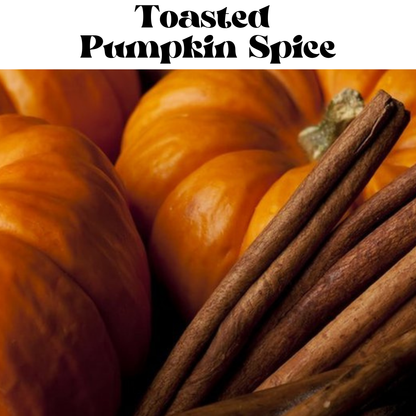 Toasted Pumpkin Spice Fragrance Oil Car Diffuser