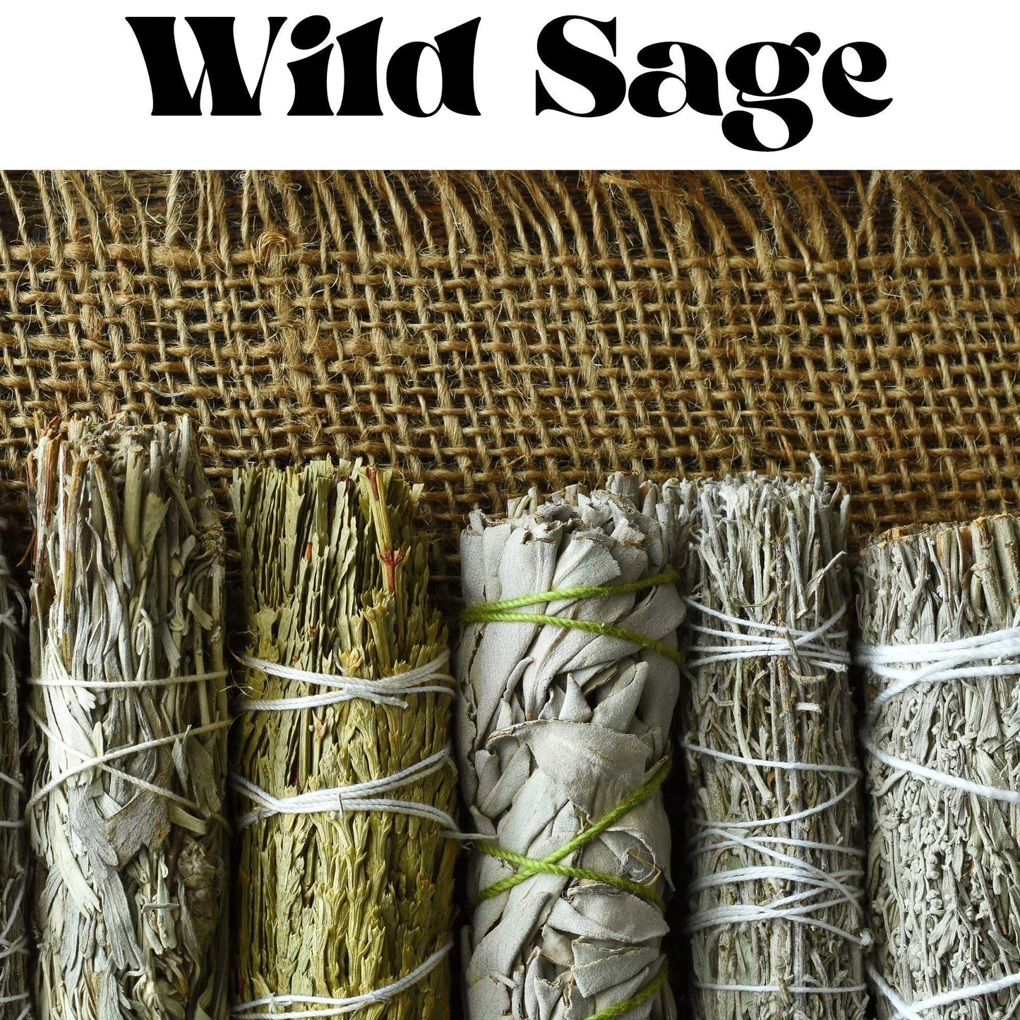 Wild Sage